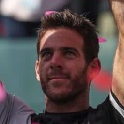 Juan Martín del Potro