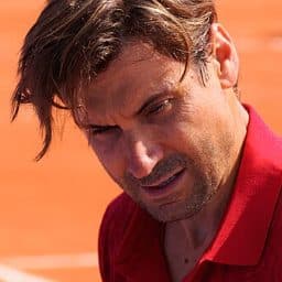David Ferrer